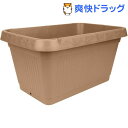 セフティー3 菜園ECOプランター 500 チャ(1コ入)【...