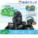 ニッソー 緑景・育てる水草の岩 M(1セット)【NISSO(ニッソー)】