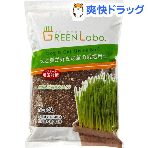 犬と猫が好きな草の栽培用土(3L)[猫草]犬と猫が好きな草の栽培用土 / 猫草★税込1980円以上で送料無料★