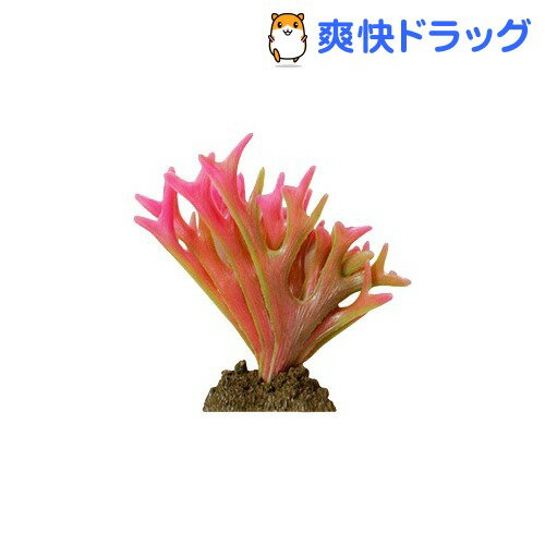 アクアティックプランツ S-4(1コ入)【アクアティックプランツ】[熱帯魚 アクアリウム 水草]