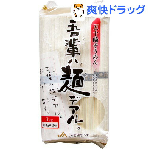 吾輩ハ麺デアル 五十崎そうめん(100g*10束)