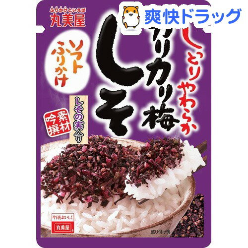 ソフトふりかけ しそ 大粒カリカリ梅としその実入り(25g)【ソフトふりかけ】