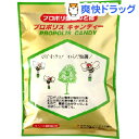 プロポリ健康のど飴 プロポリスキャンディー(No.1)(100g)【森川健康堂】