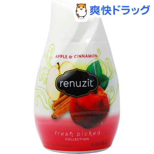 リナジット エアーフレッシュナー アップル＆シナモン(212g)【リナジット(Renuzit)】[芳香剤 フレグランス]