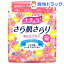 ナチュラ さら肌さらり 吸水ナプキン 少量用 羽なし(28枚入)【daio35shunen】大王製紙【ナチュラ】