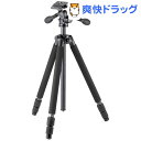 ベルボン ジオ・カルマーニュN635M2(1コ入)【送料無料】