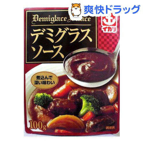 イカリ デミグラスソース パウチ(100g)イカリ デミグラスソース パウチ★税込1980円以上で送料無料★