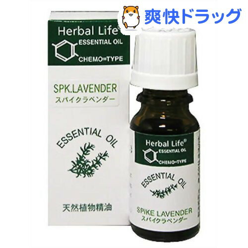 エッセンシャルオイル スパイク・ラベンダー(10mL)【生活の木 エッセンシャルオイル】[アロマオイル]エッセンシャルオイル スパイク・ラベンダー / 生活の木 エッセンシャルオイル / アロマオイル★税込1980円以上で送料無料★