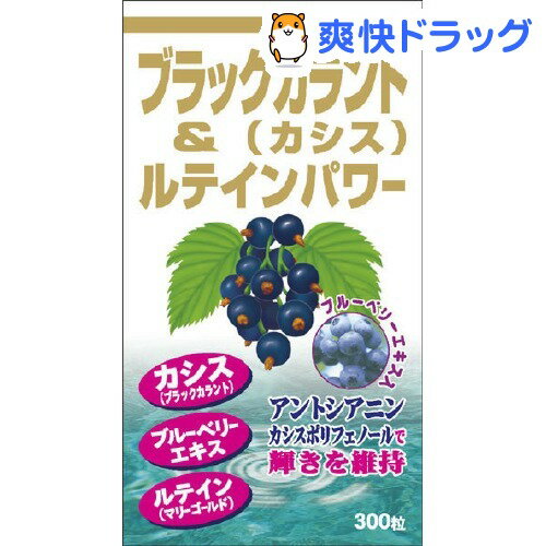 ブラックカラント＆ルテインパワー(75g（約300粒入）)[ブルーベリー ルテイン]