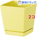 クエンチローポット 5号 ライトイエロー(1コ入*2コセット)【クエンチ】