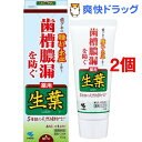 小林製薬 薬用歯みがき 生葉(100g*2コセット)【生葉】