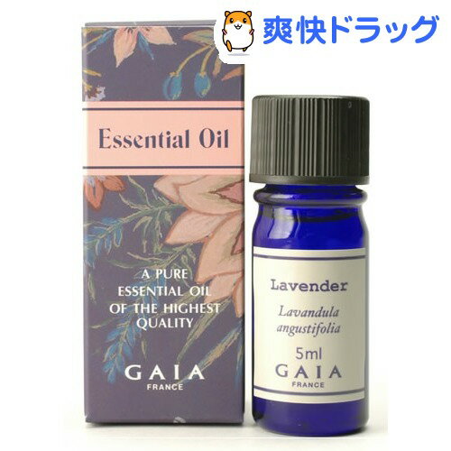 ガイア エッセンシャルオイル ラベンダー・トゥルー(5mL)【ガイア(GAIA)】[GAI…...:soukai:10078219