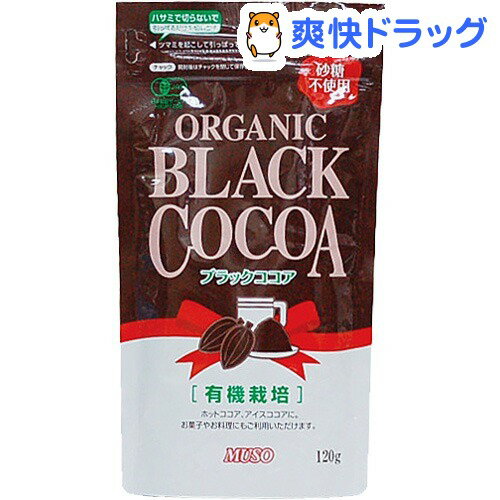 オーガニックブラックココア(120g)[ココア]オーガニックブラックココア / ココア★税込1980円以上で送料無料★