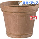 シャビーポット 5号 ブラウン(1.2L*2コセット)【大和プラスチック】
