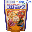 プロミック シンビジューム・クンシラン用(150g)【プロミック】