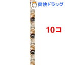 キャネット 3時のスープ 白身魚添え 鶏だしスープ風 4連(25g*4コ入*10コセット)【キャネット】