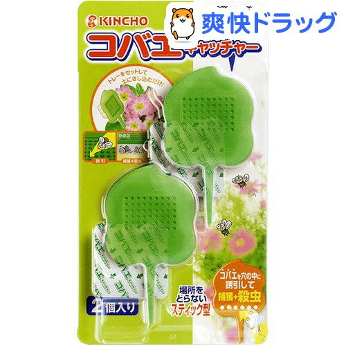 コバエキャッチャー 植木鉢用(2コ入)[コバエ退治 インテリア 虫よけ 虫除け 殺虫剤]...:soukai:10371506