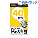 OHM シリカ電球 40W形 LW100V38W55/1P(1コ入)