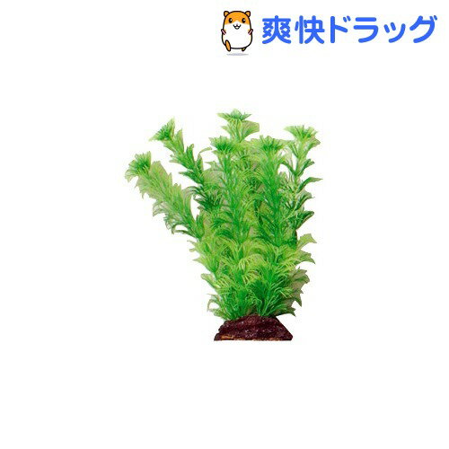 アクアティックプランツ L-6(1コ入)【アクアティックプランツ】[熱帯魚 アクアリウム 水草]