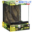 エキゾテラ グラステラリウム 4560 PT2607(1コ入)【エキゾテラ】【送料無料】