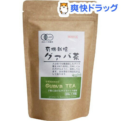 有機栽培 グァバ茶(3.0g*15包入)[グァバ茶]