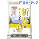 平成30年度産 新潟県産コシヒカリ(国産)(5kg)【おくさま印】