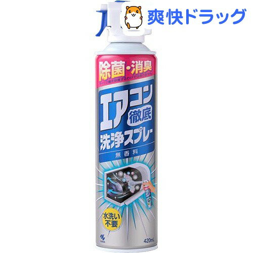 エアコン徹底洗浄スプレー 無香料(420mL)[エアコン掃除用品 カビ掃除]