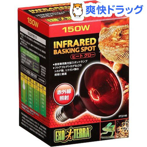 ヒートグロー 赤外線照射スポットランプ 150W PT2146(1コ入)[爬虫類 両生類]ヒートグロー 赤外線照射スポットランプ 150W PT2146 / 爬虫類 両生類★税込1980円以上で送料無料★