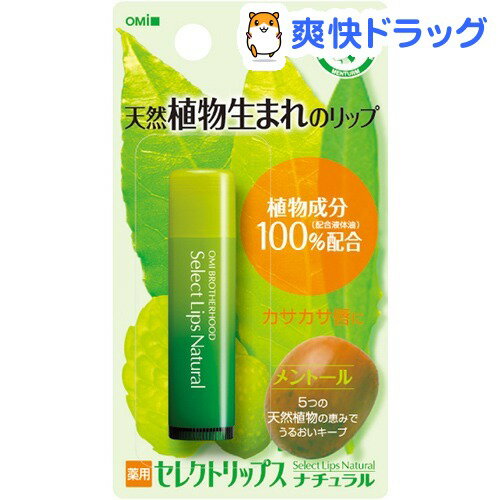 メンターム 薬用セレクトリップスN ナチュラル(5.2g)[リップケア]