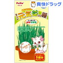 ペティオ ネコの元気草の種(15g*5包入)【ペティオ(Petio)】[猫草]