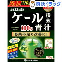 山本漢方 ケール粉末100%(170g)【山本漢方 青汁】