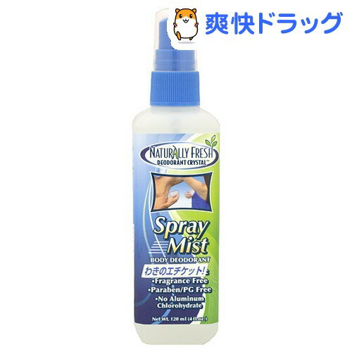 エフィシーネ フレッシュスプレー レギュラー(120mL)【エフィシーネ】[デオドラント 制汗剤]