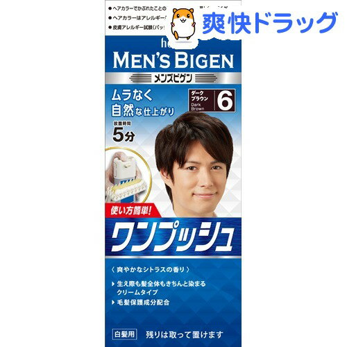 メンズビゲン ワンプッシュ ダークブラウン 6(40g+40g)【ビゲン】[ヘアカラー]