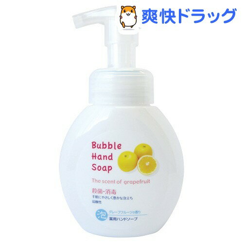 第一石鹸 薬用泡ハンドソープ 本体(250mL)[ハンドソープ]...:soukai:10237534