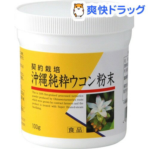 クーポンで10%オフ★沖縄純粋ウコン粉末(120g)[ウコン加工食品]【8/15 10:00-23:59までクーポン利用で5000円以上10%オフ】