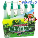 ヨーキ産業 活力剤アンプル 観葉植物用(35ml*10本入*2コセット)