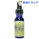 スピリット イン ネイチャー エッセンス パイナップル(15mL)【スピリットインネイチャー エッセンス】【送料無料】