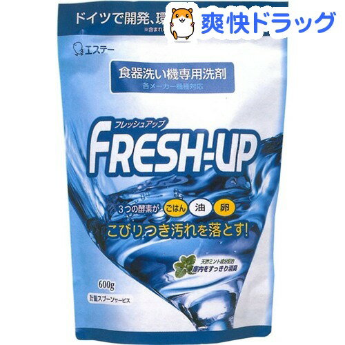 フレッシュアップ パウチタイプ(600g)【フレッシュアップ】[粉末洗剤 キッチン用]