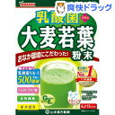山本漢方 乳酸菌 プラス 大麦若葉 粉末(4g×15パック)【山本漢方 青汁】