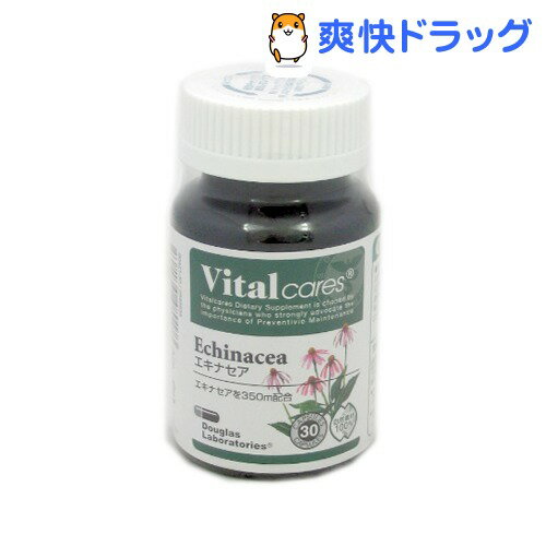 クーポンで10%オフ★バイタルケアーズ エキナセア(30粒)【バイタルケアーズ(Vitalcares)】[エキナセア]【8/15 10:00-23:59までクーポン利用で5000円以上10%オフ】バイタルケアーズ エキナセア / バイタルケアーズ(Vitalcares) / エキナセア★税込1980円以上で送料無料★