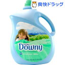 ( ˡ downy)ˡ ޥƥ󥹥ץ...