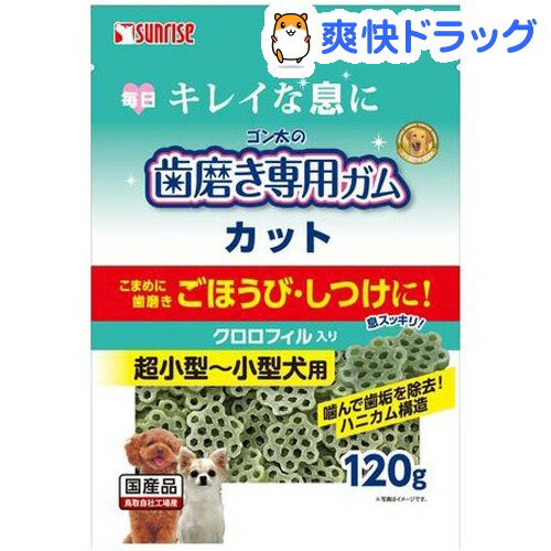 サンライズ　ゴン太の歯磨き専用ガム カット クロロフィル入り(120g)【ゴン太】[犬 ガ…...:soukai:10186300