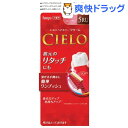 シエロ ヘアカラー EX クリーム 5RU 深いルビーブラウン(1セット)【シエロ(CIELO)】