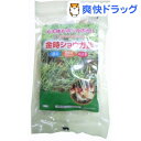【訳あり】金時ショウガ飴(100g)【ジャパンヘルス】