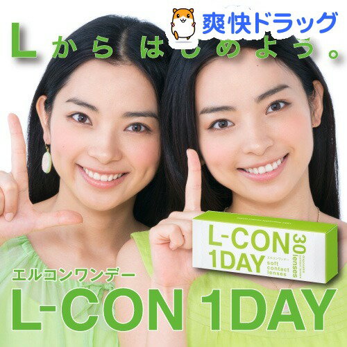 CTL/GRf[ BC8.70 x-2.00(30)yGRf[z[R^NgY 1day 1ĝ]