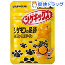 シゲキックス シゲモンの足跡 エボリューションソーダ(20g)