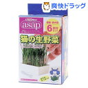 アサップ(asap) 猫の生野菜(6コ入)【アサップ(asap)】[猫草]