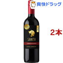 サントリー サンタ バイ サンタカロリーナ カベルネ・ソーヴィニヨン(750ml*2本セット)【サンタ バイ サンタ カロリーナ】