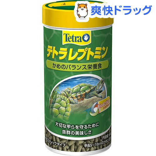 テトラ レプトミン(65g)【Tetra(テトラ)】[爬虫類 両生類]テトラ レプトミン / Tetra(テトラ) / 爬虫類 両生類★税込1980円以上で送料無料★