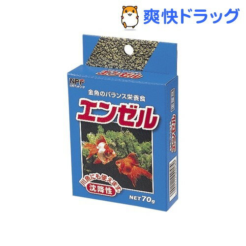 エンゼル(70g)【エンゼル】[熱帯魚 アクアリウム エサ]